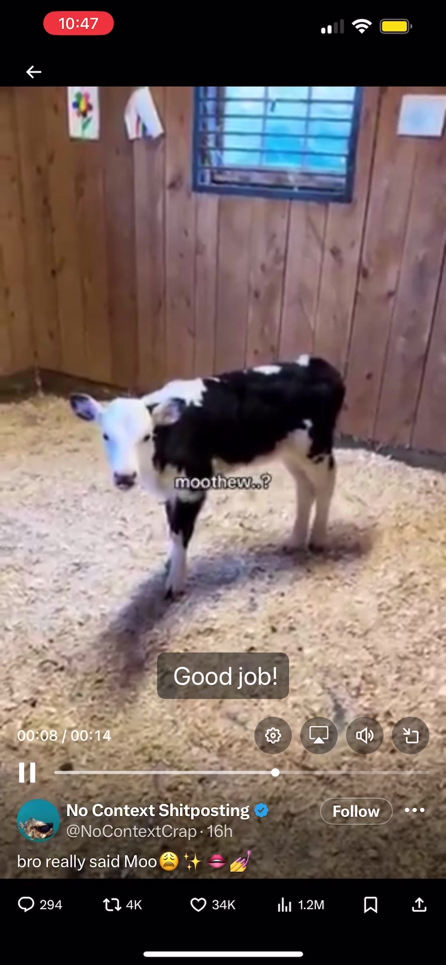 @𝘊𝘢𝘳𝘳𝘪𝘦