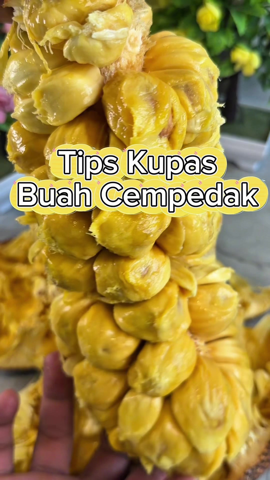 @Chef Budi Tian