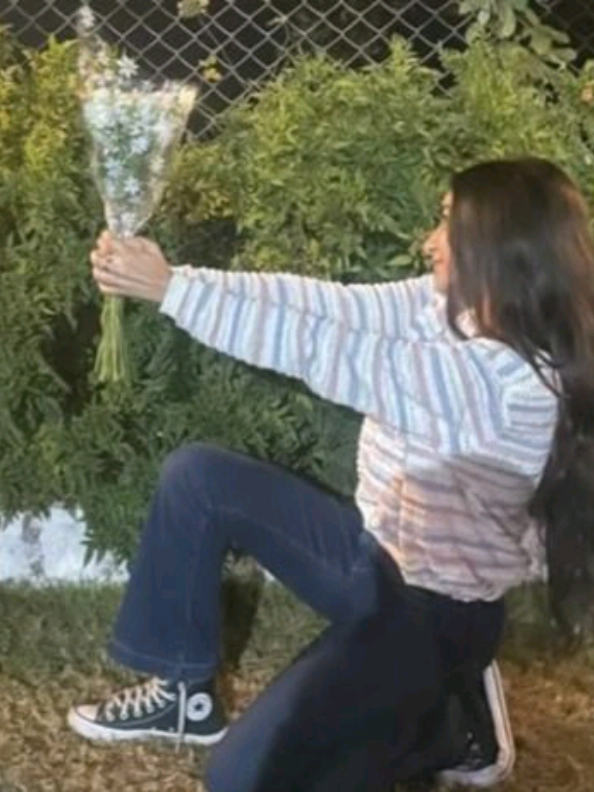 @||евланка^_-
