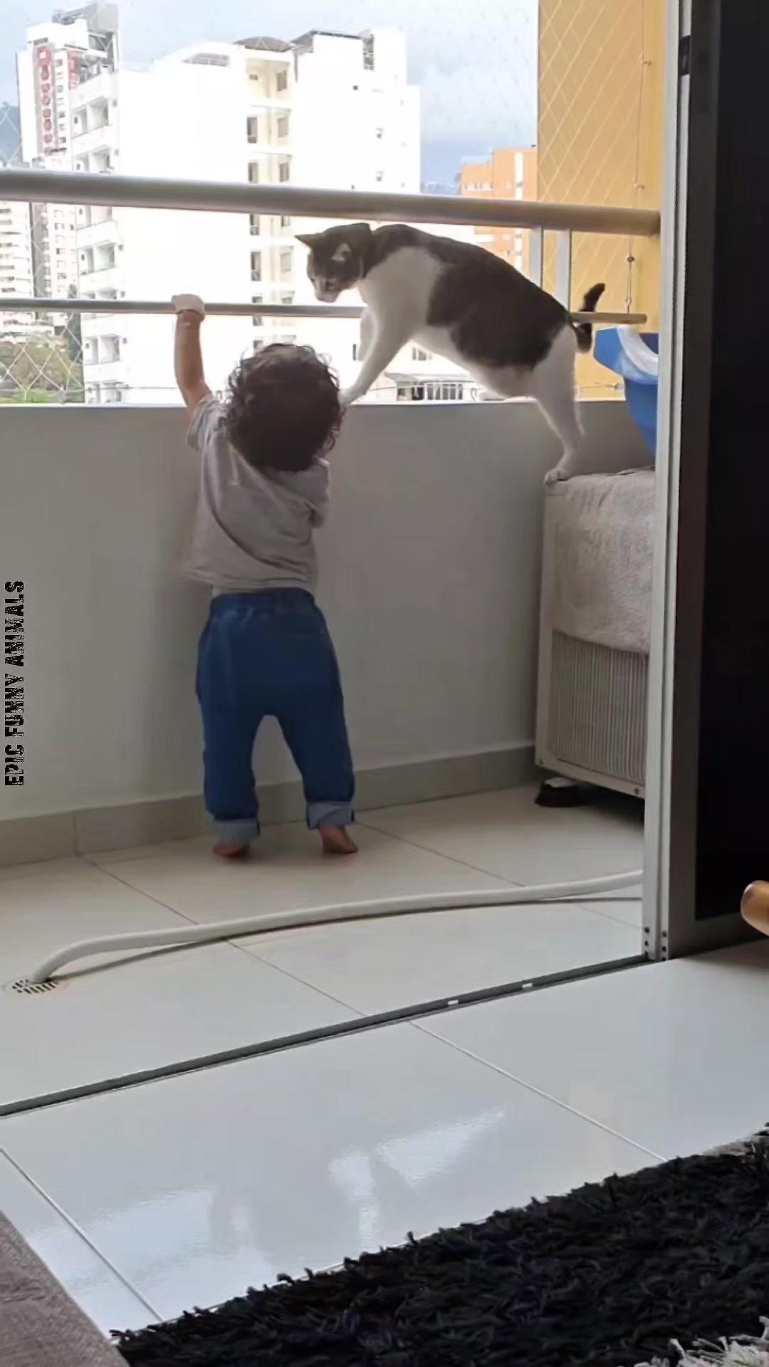 @Epic Funny Animals