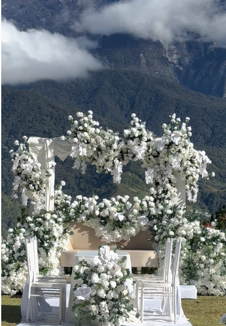 @thepelamin