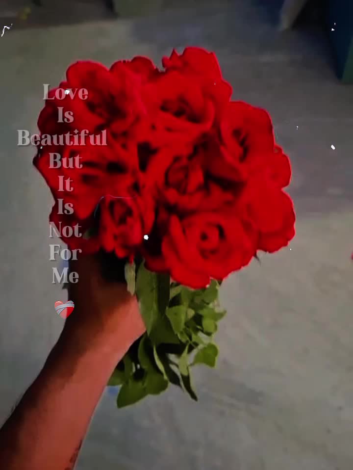 @꧁𓊈BBK𒆜FORID𒆜𓊉꧂