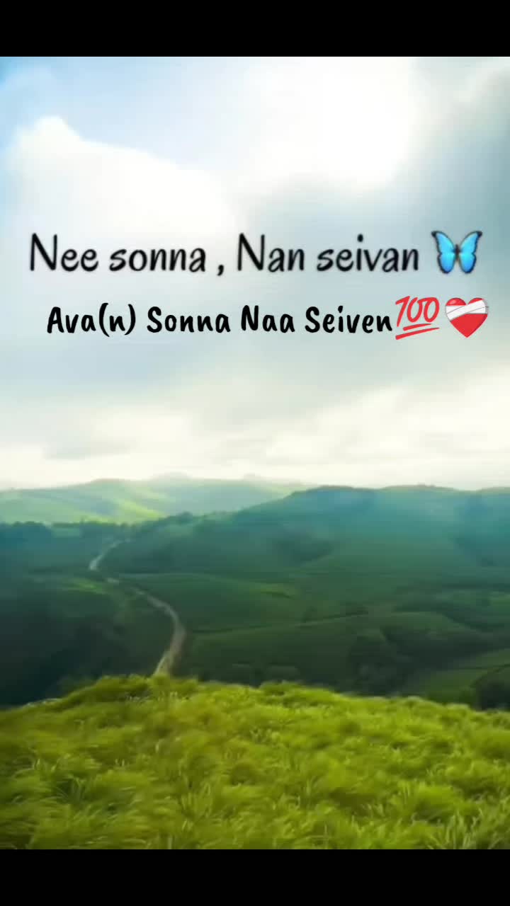 @𝑀𝑒𝑜𝓌 11.11❤️✨