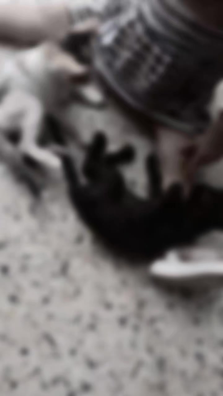 @๐maria ๐ฉ๐ฟโจ