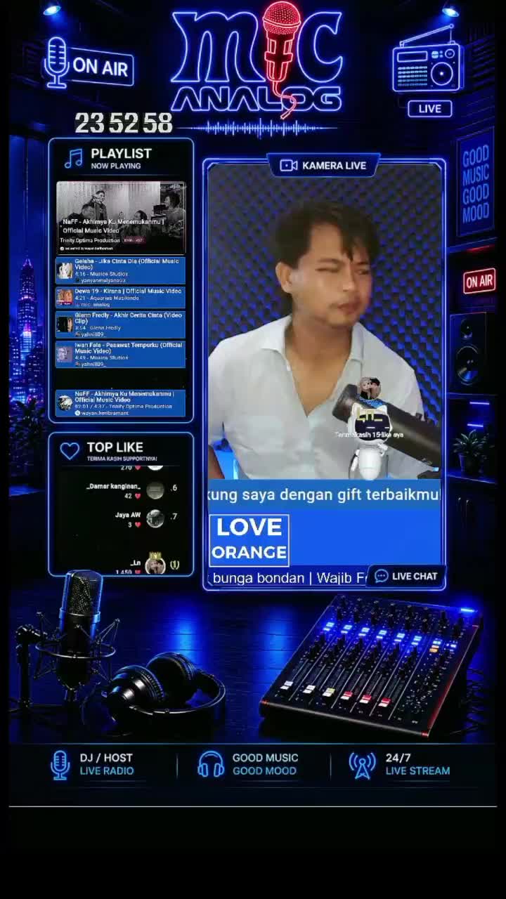 @mic analog