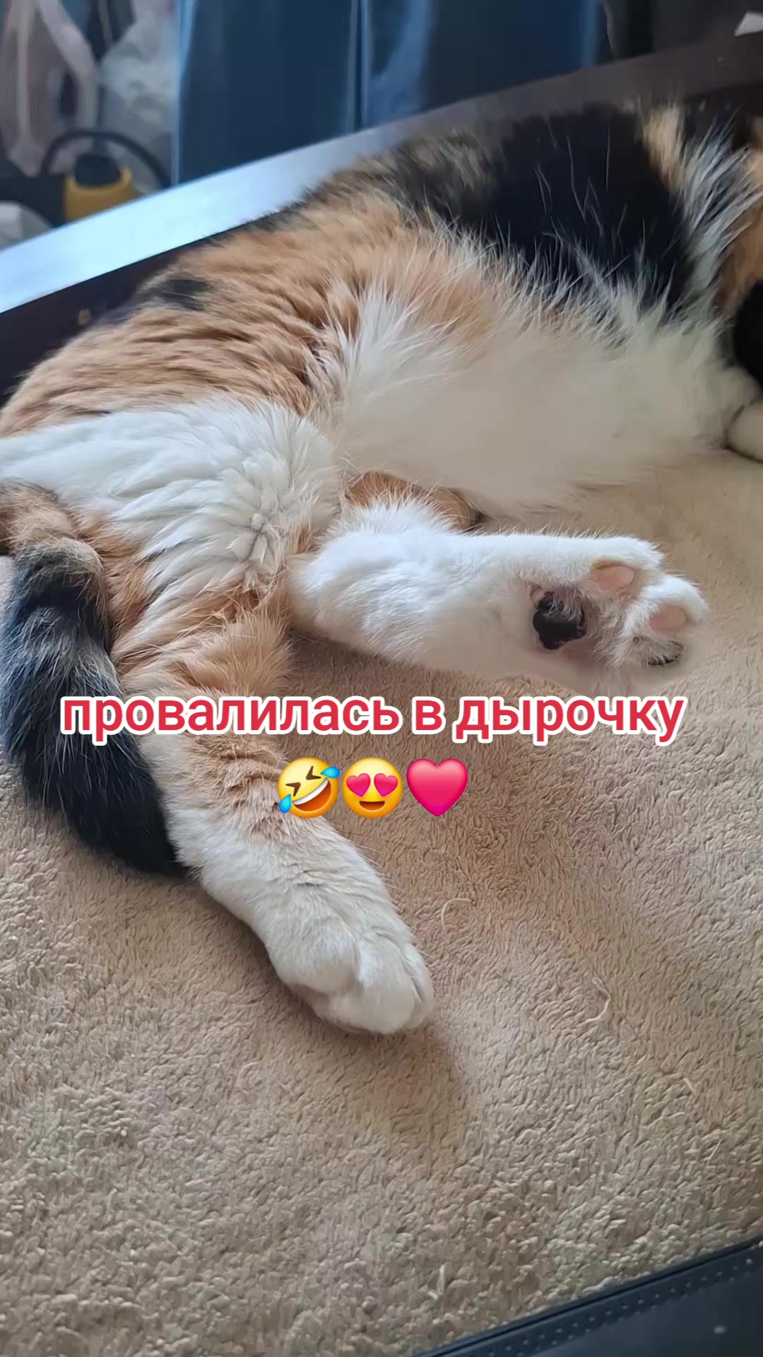 @Ольга и мои "хвостики"