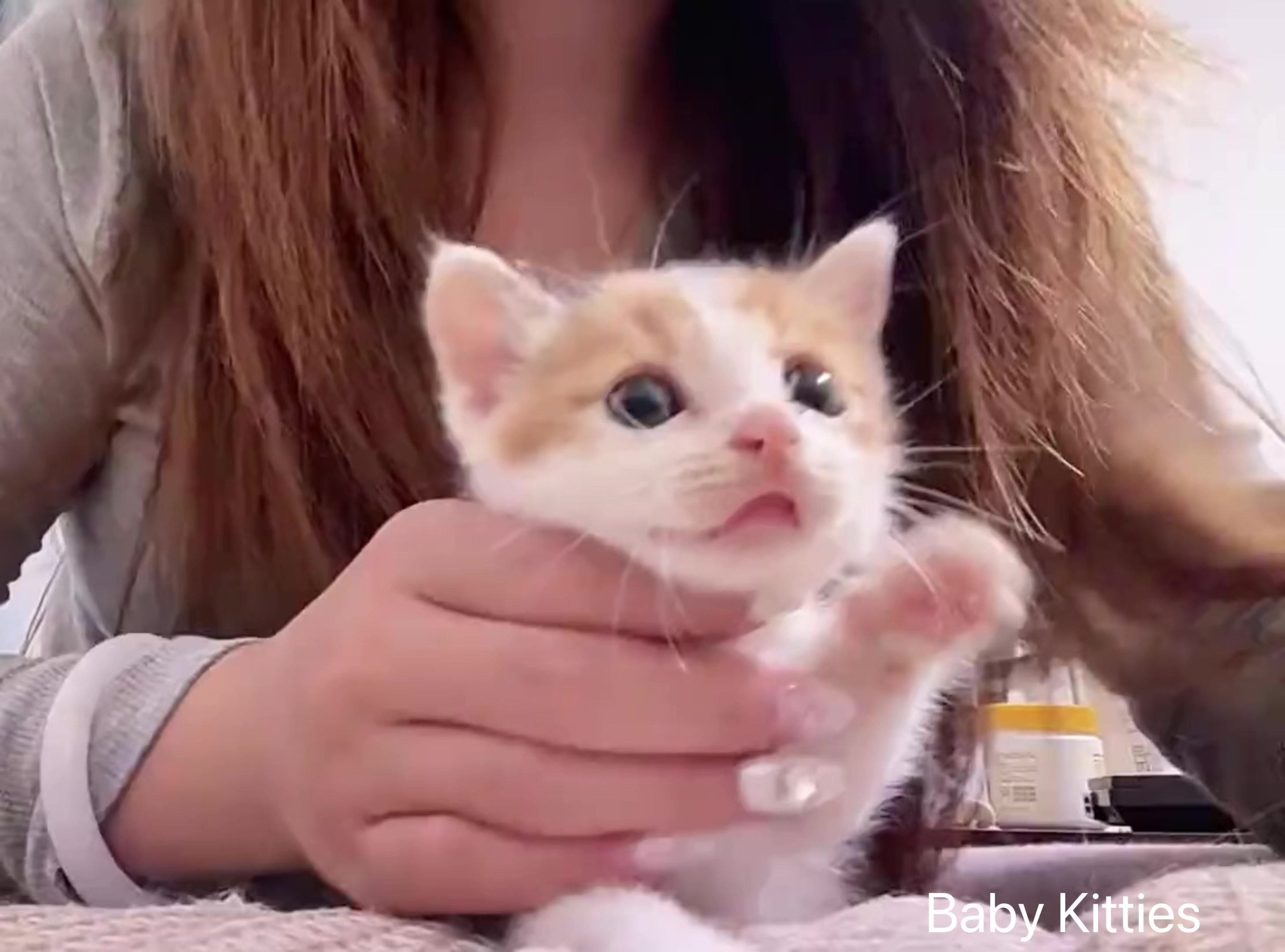 @Pawsfull.ASMR
