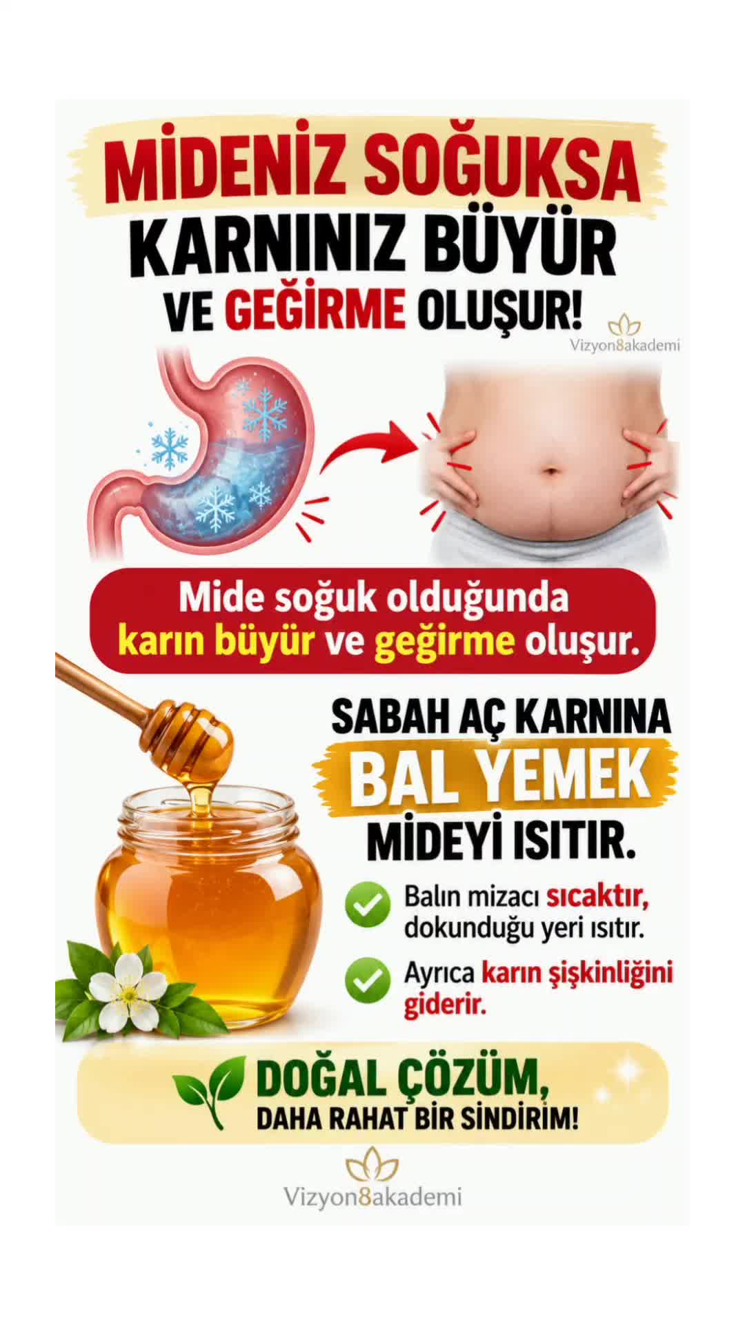 @Vizyon8akademi