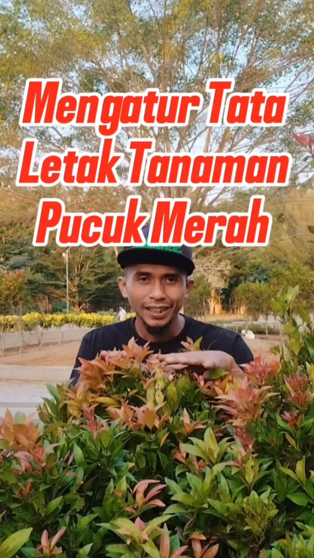 @Bukit Farming