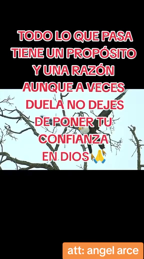 @aaa.barce