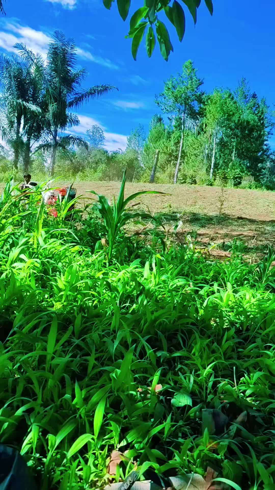 @𝙈𝙧. 𝙃𝙄𝙏𝙀🇮🇩