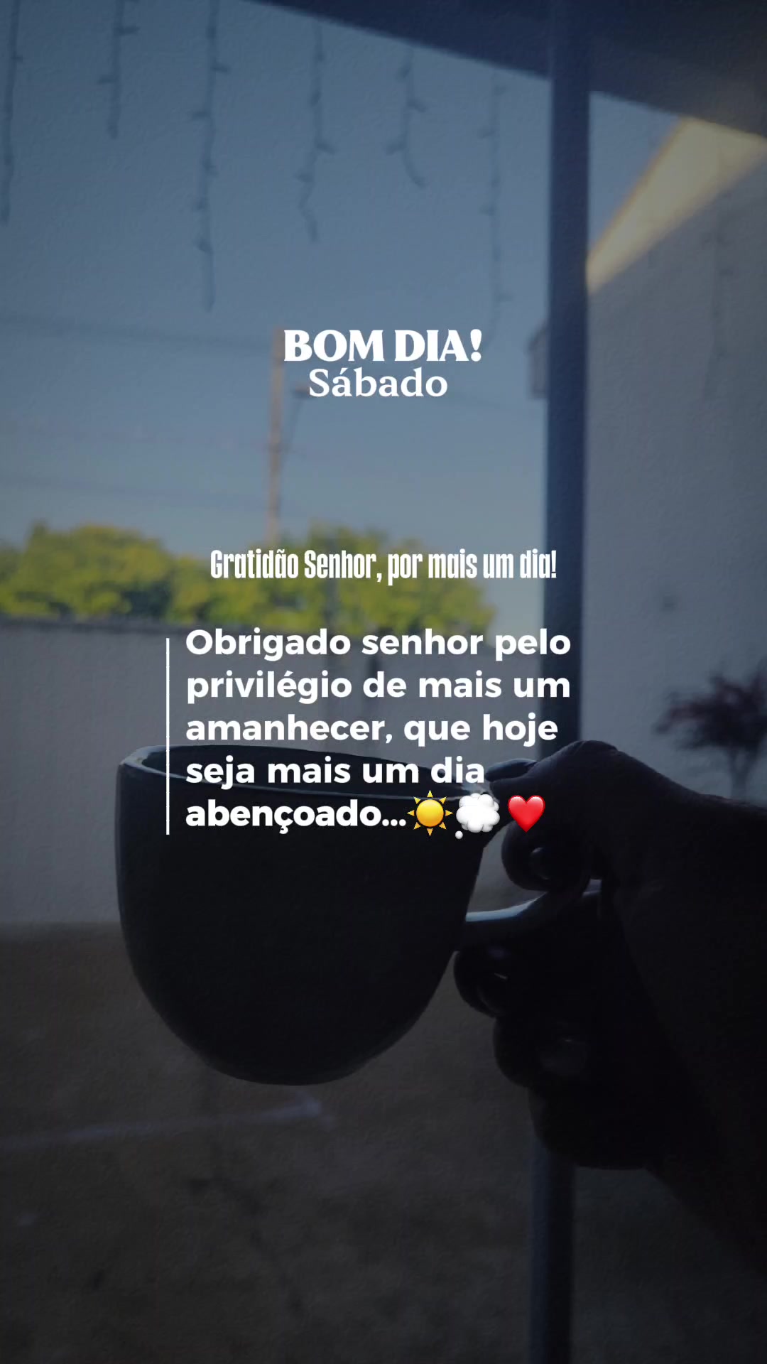 @Dani Gonçalves