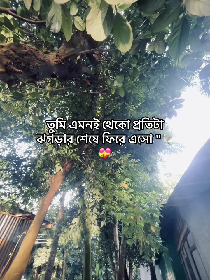 @asdfghjkl123303