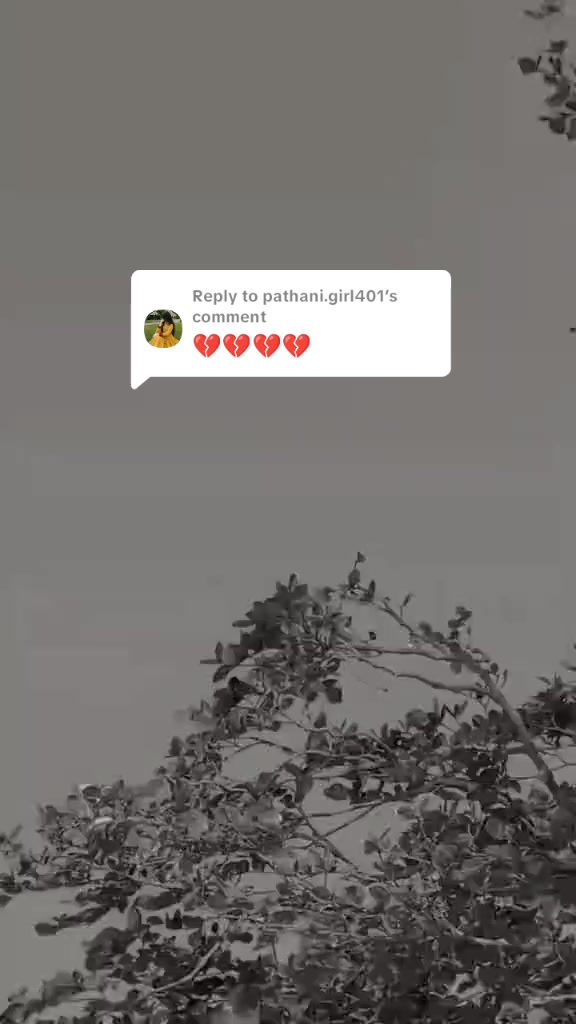 @kashy pahtan 💔 ks 9050