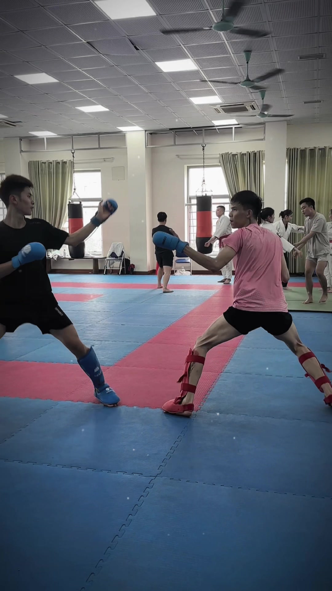 @🇻🇳TRẦN TIẾN ANH🥋