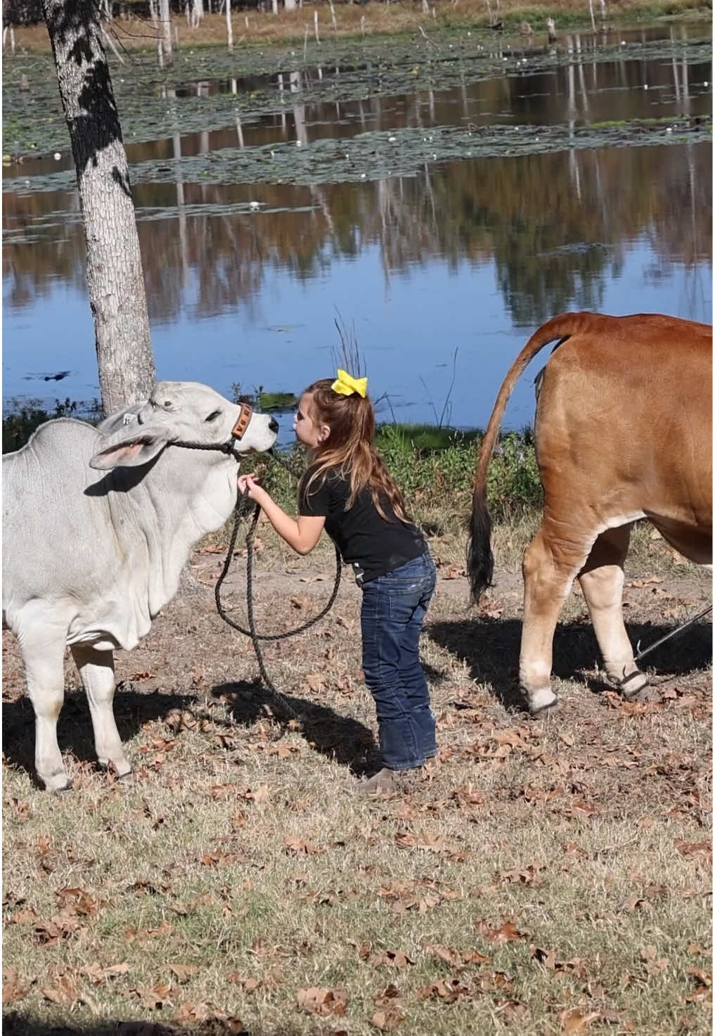 @The V6 Ranch