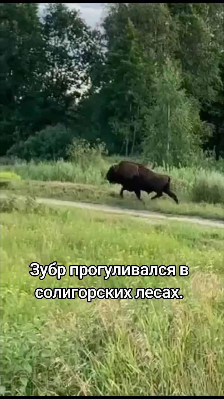 @Солигорск Новости