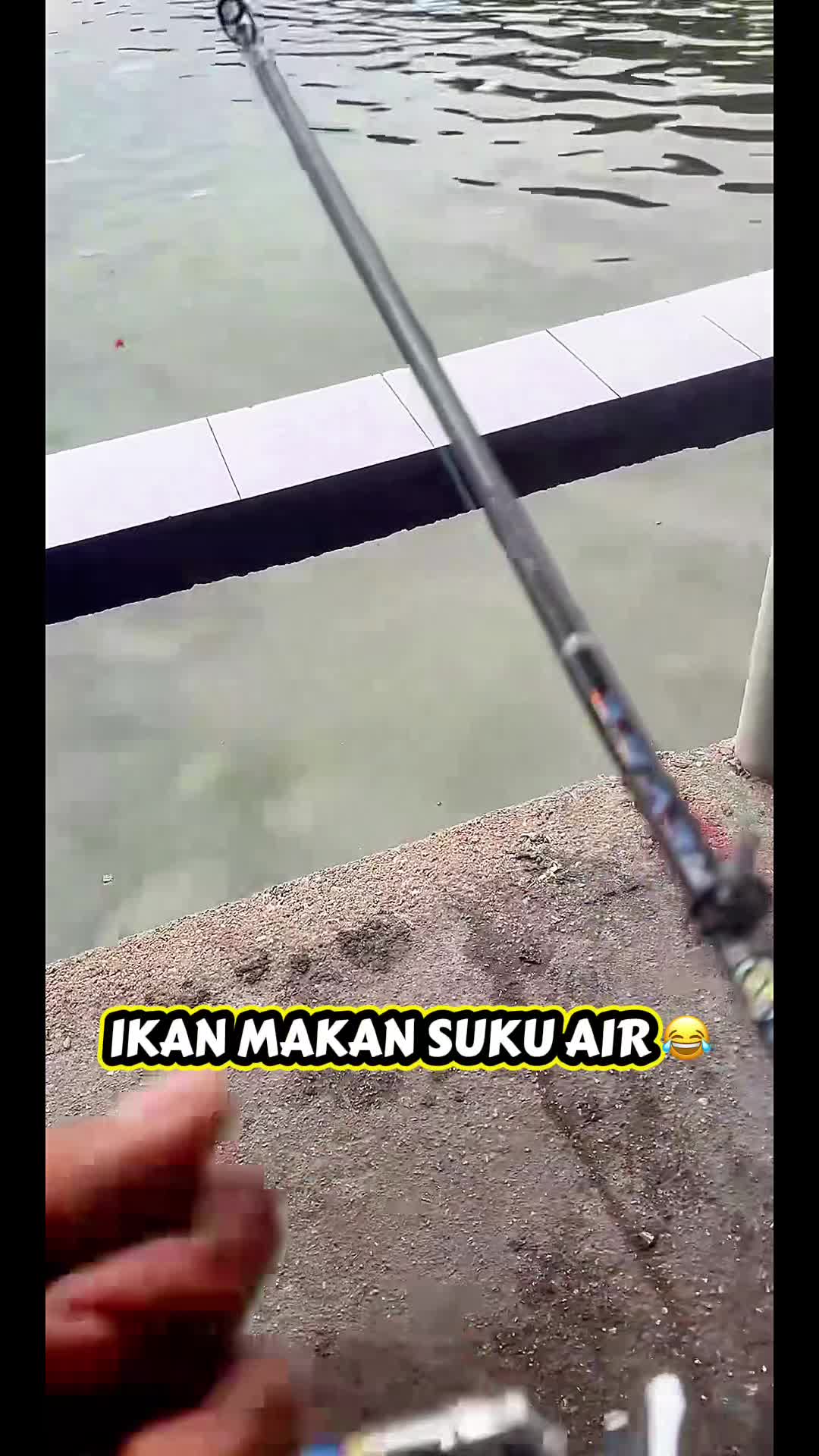 @M Z Reel 🎣