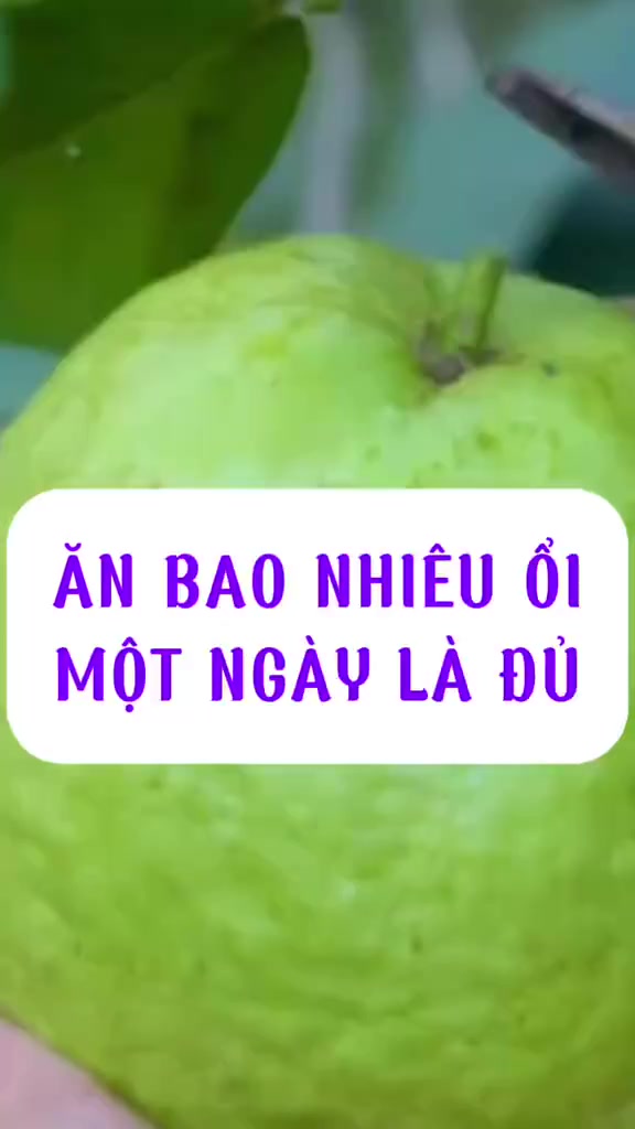 @Kim D&acirc;n- HLV Sức khoẻ