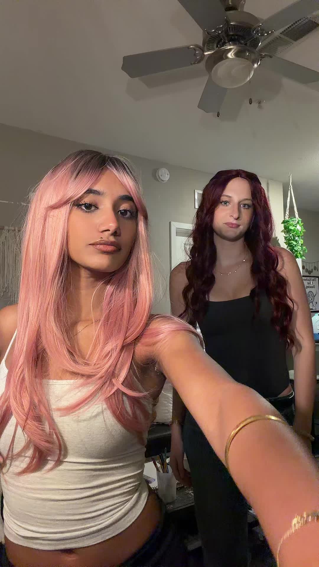 @maya