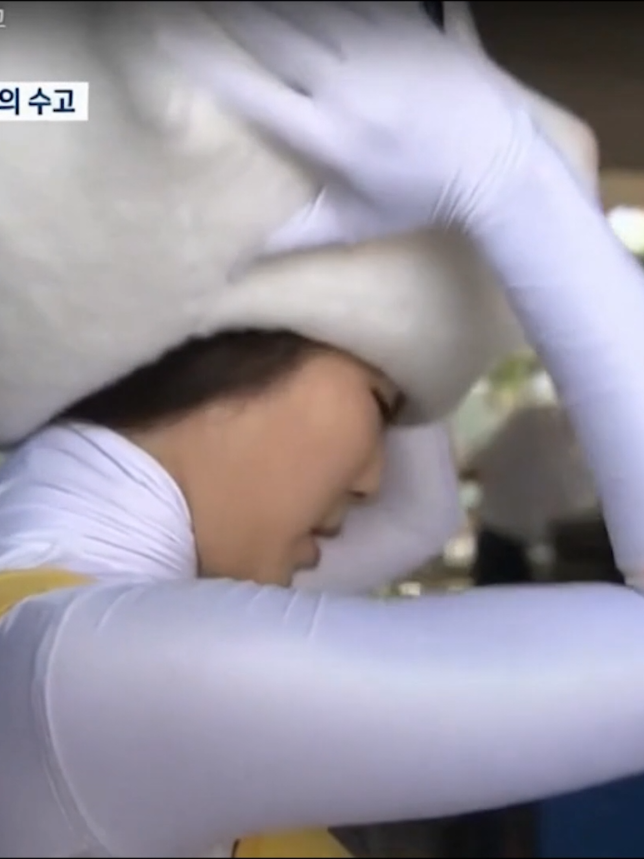 @mascot girl and kigurumi