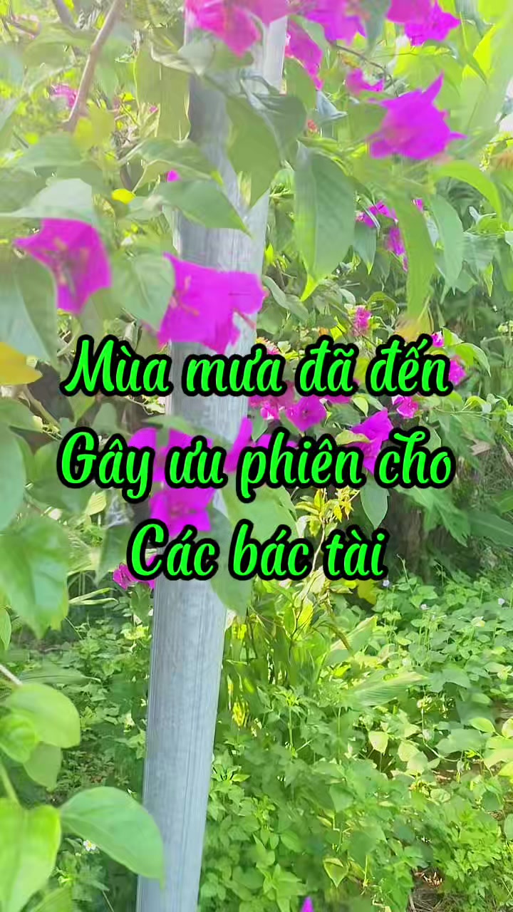 @Phụ kiện ô tô Hoàng Bách