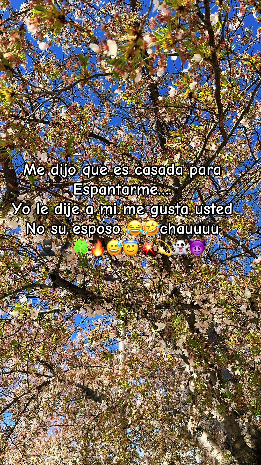 @🇲🇽Un poblano en ny 🇺🇸🗽☘️