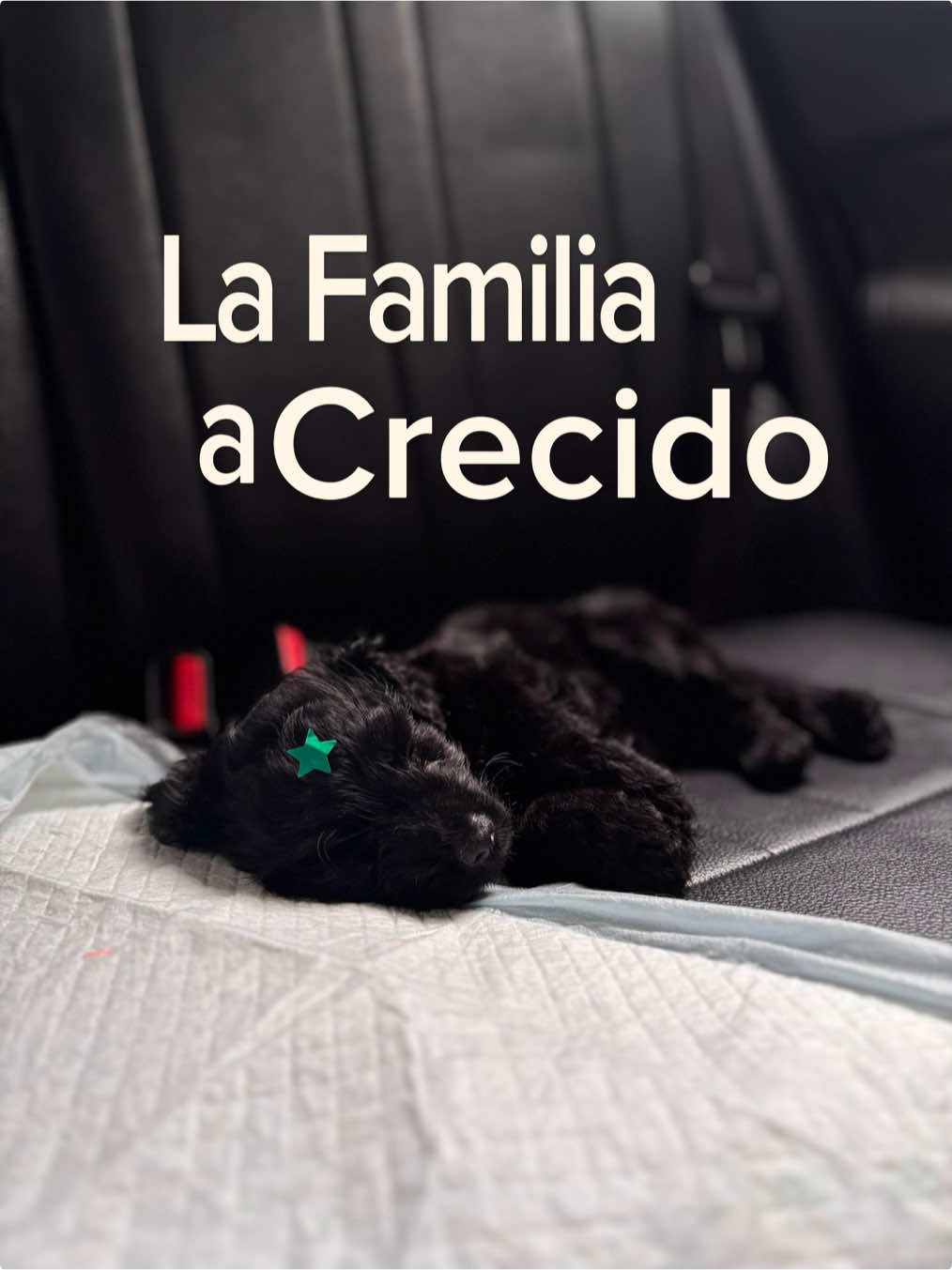 @Fernando Daniel Orti