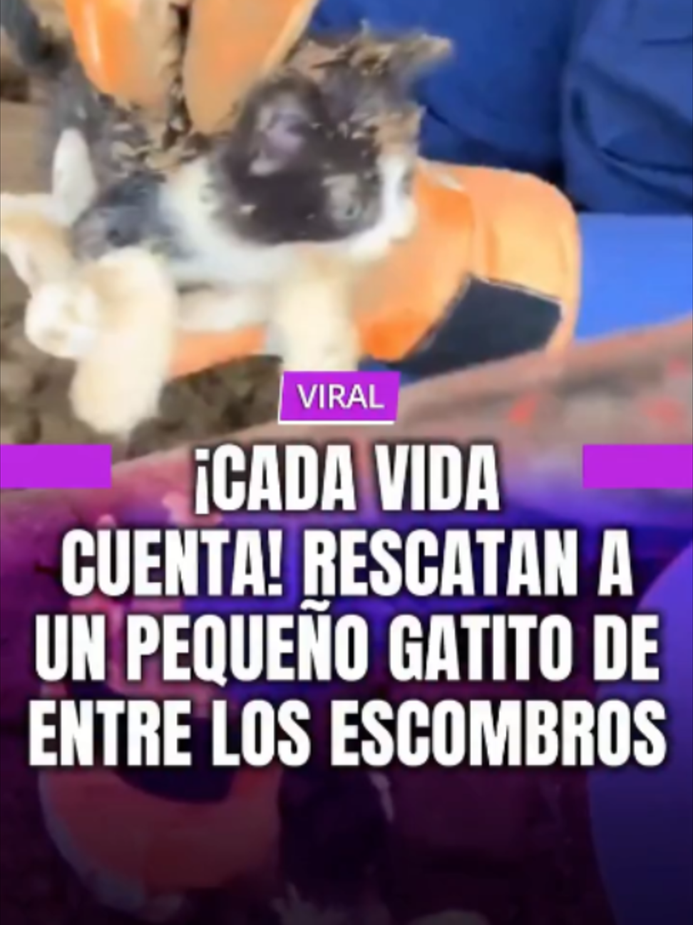 @MINUTO30