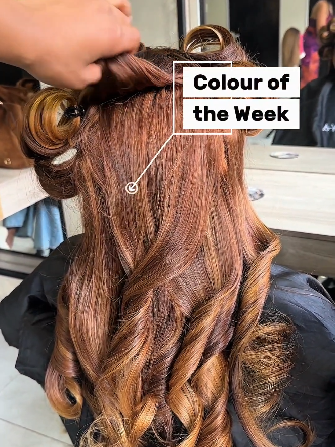 @Zoteya | Raw Hair Supplier