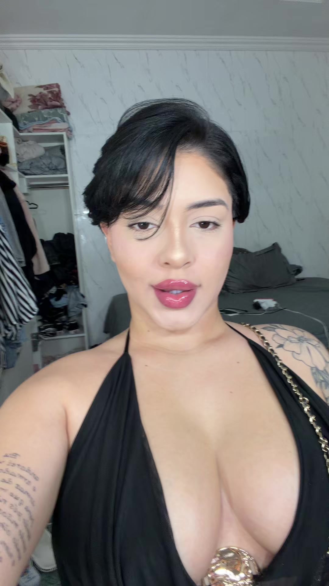 @dailygatuninha