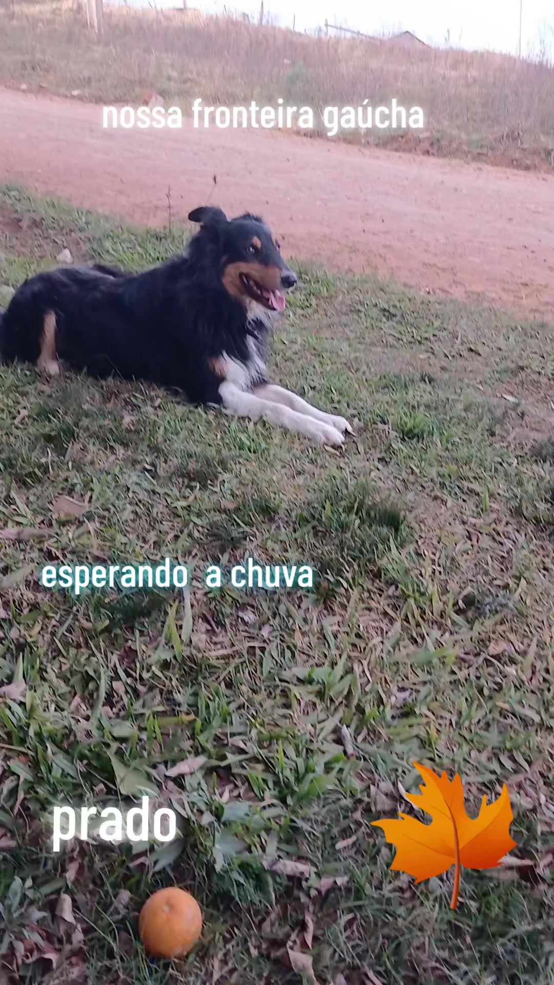 @João carlos ๐ฏ๐๐ค๐ง๐ผ๐ช๐ช