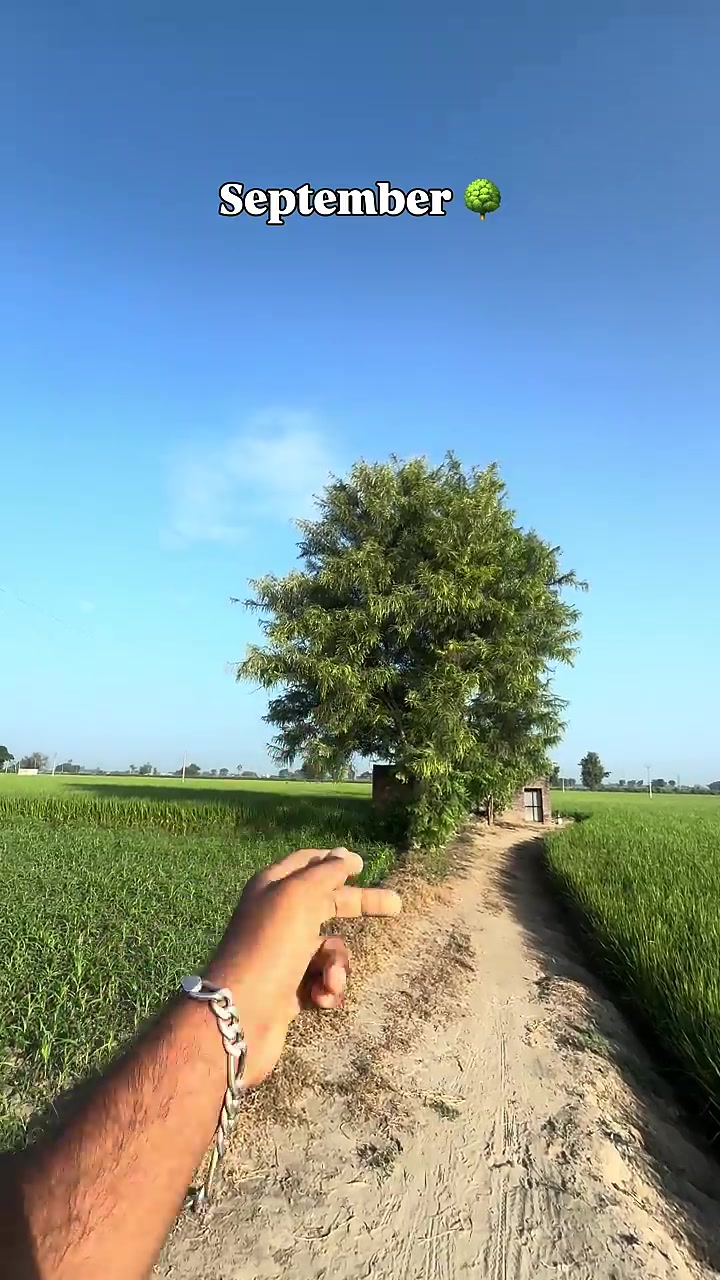 @Garrrryyy👻