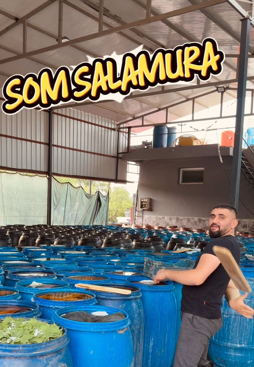 @🍁SOM SALAMURA YAPRAK🍁