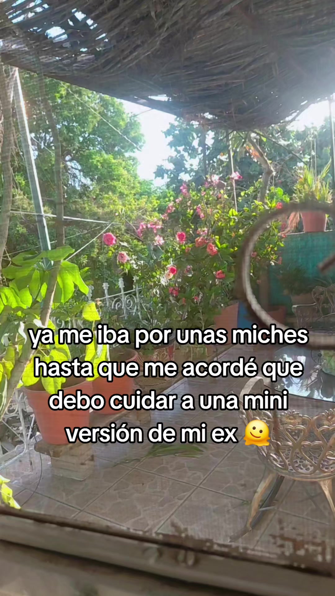 @Diana Merazz