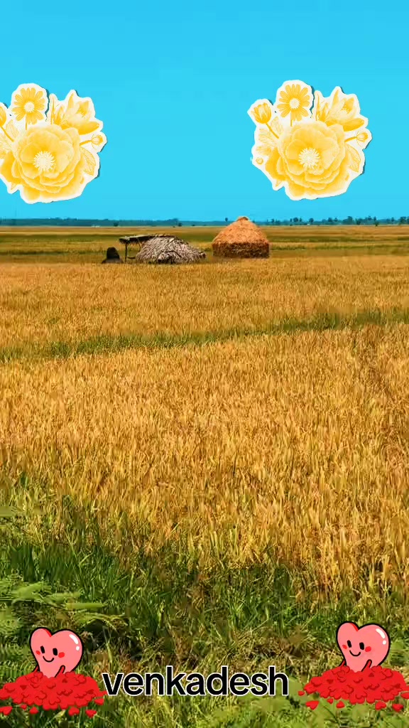@venkadesh13