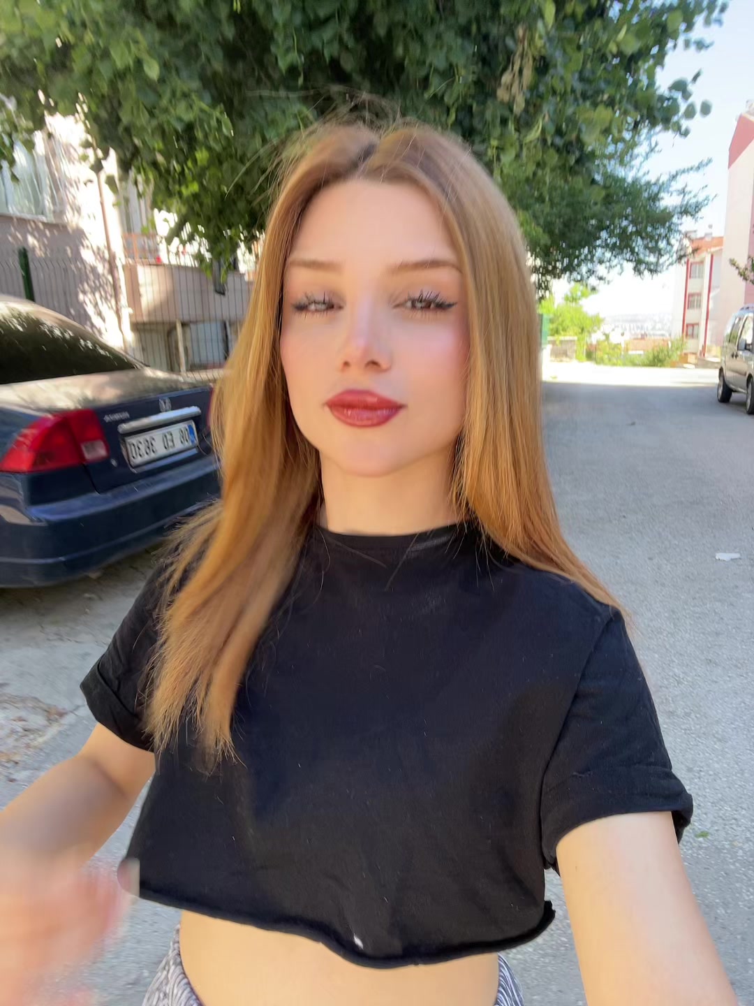 @berfinqr