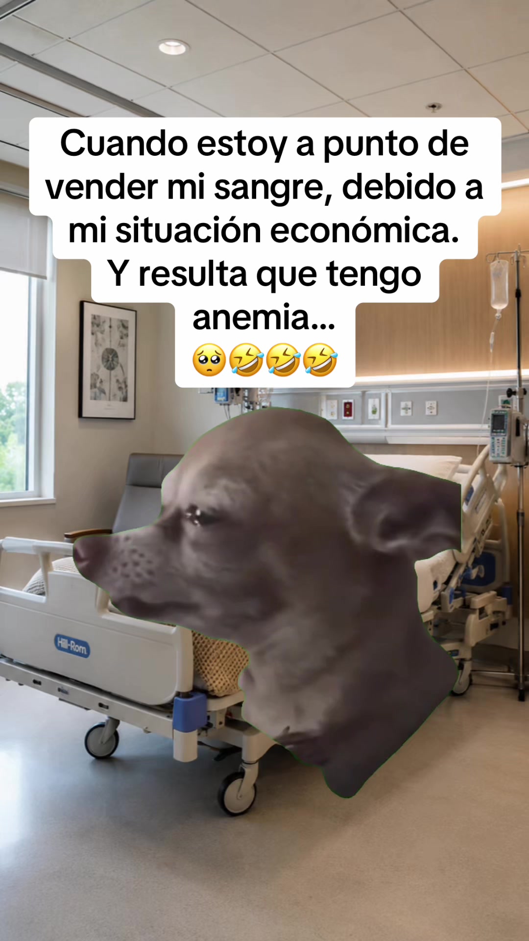 @Memesfactory
