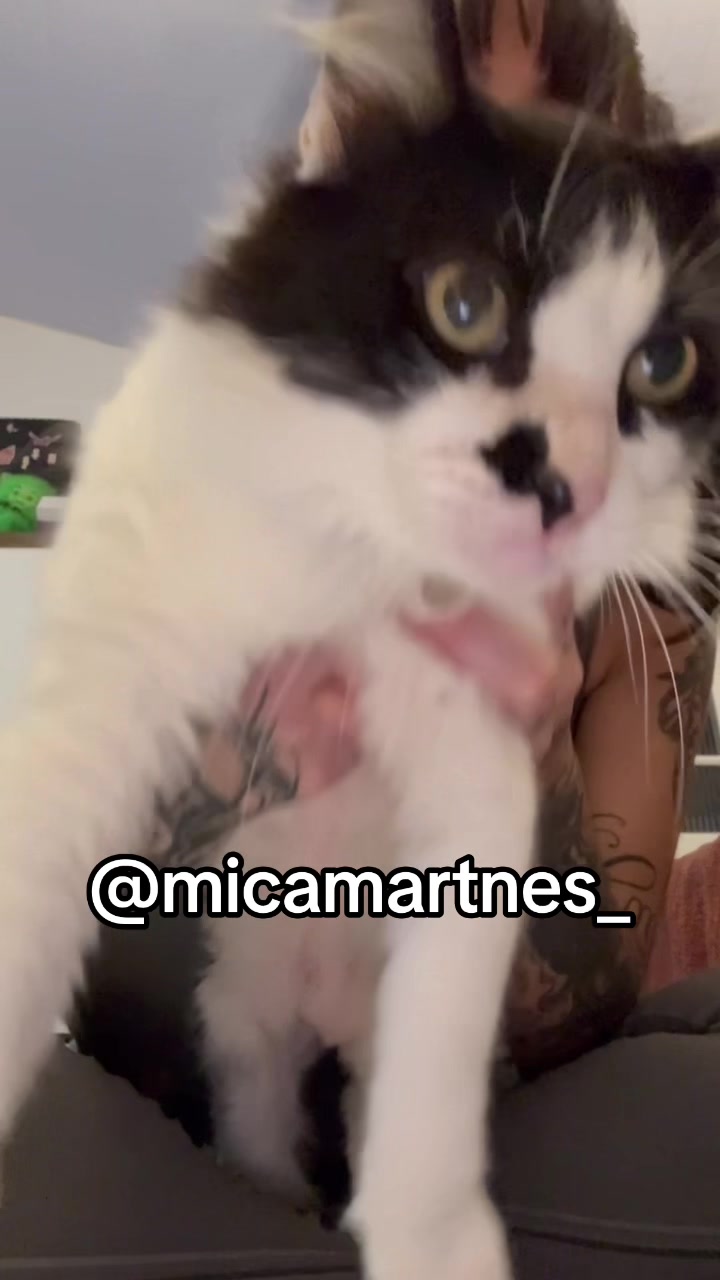 @micaelamartnes