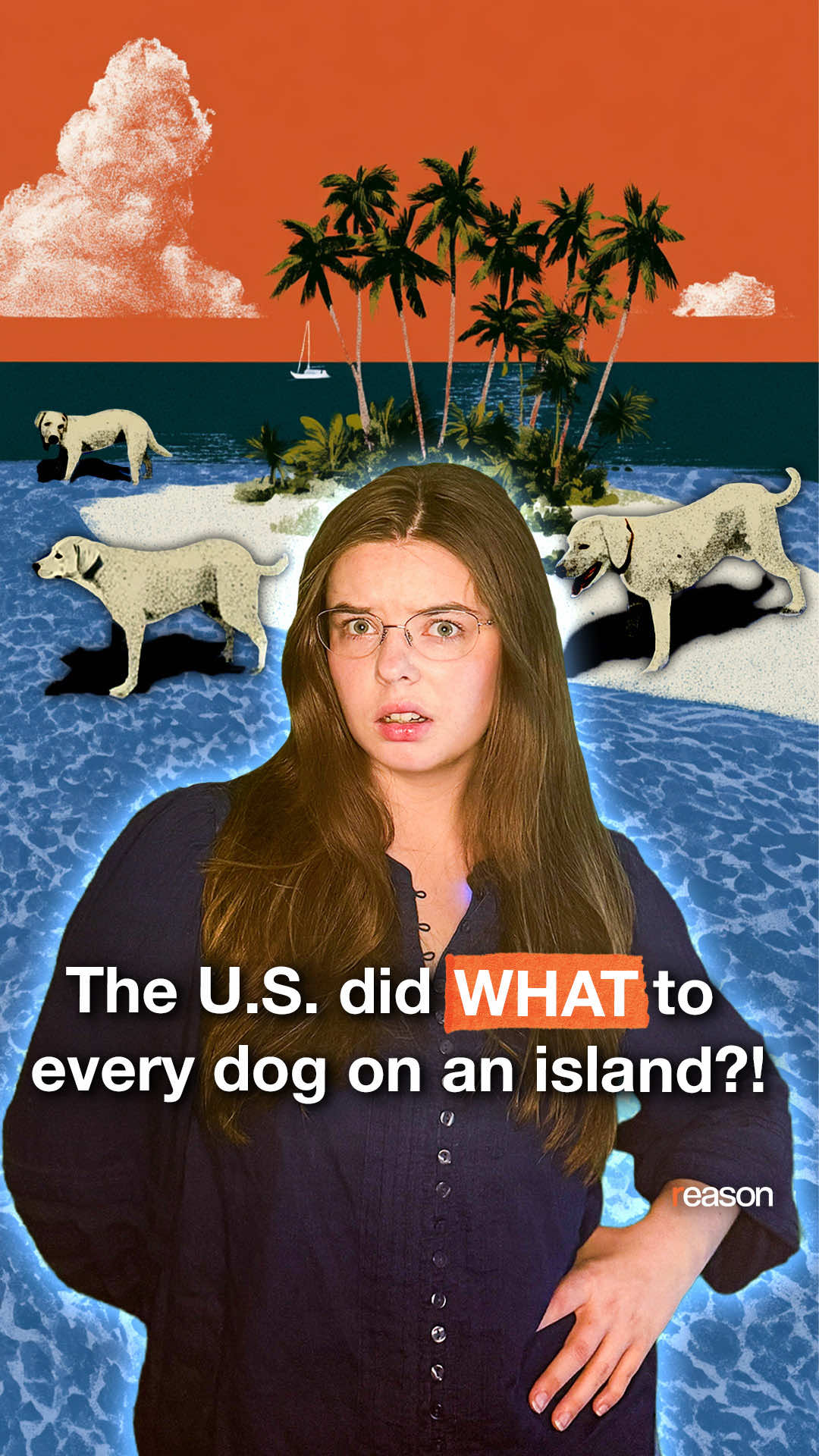 @Reason Magazine