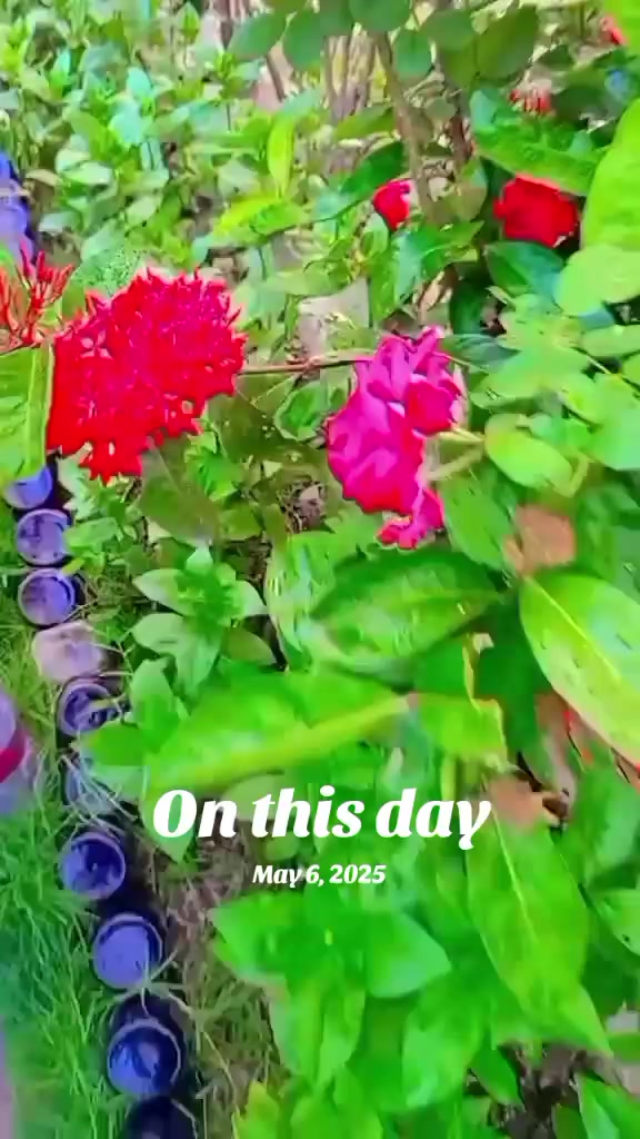 @नेहा राई