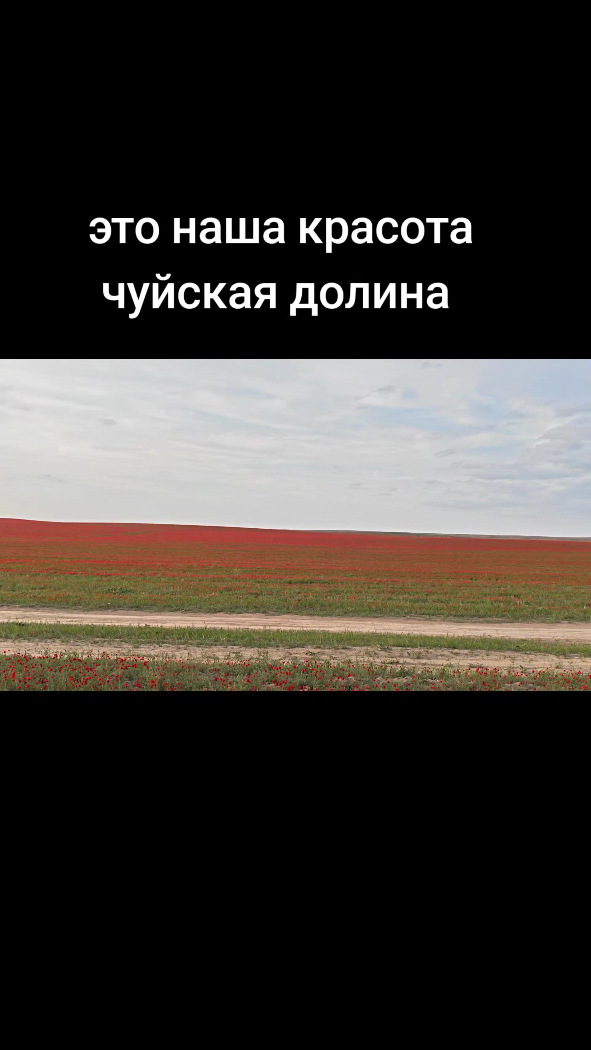 @Ариф Бадиров