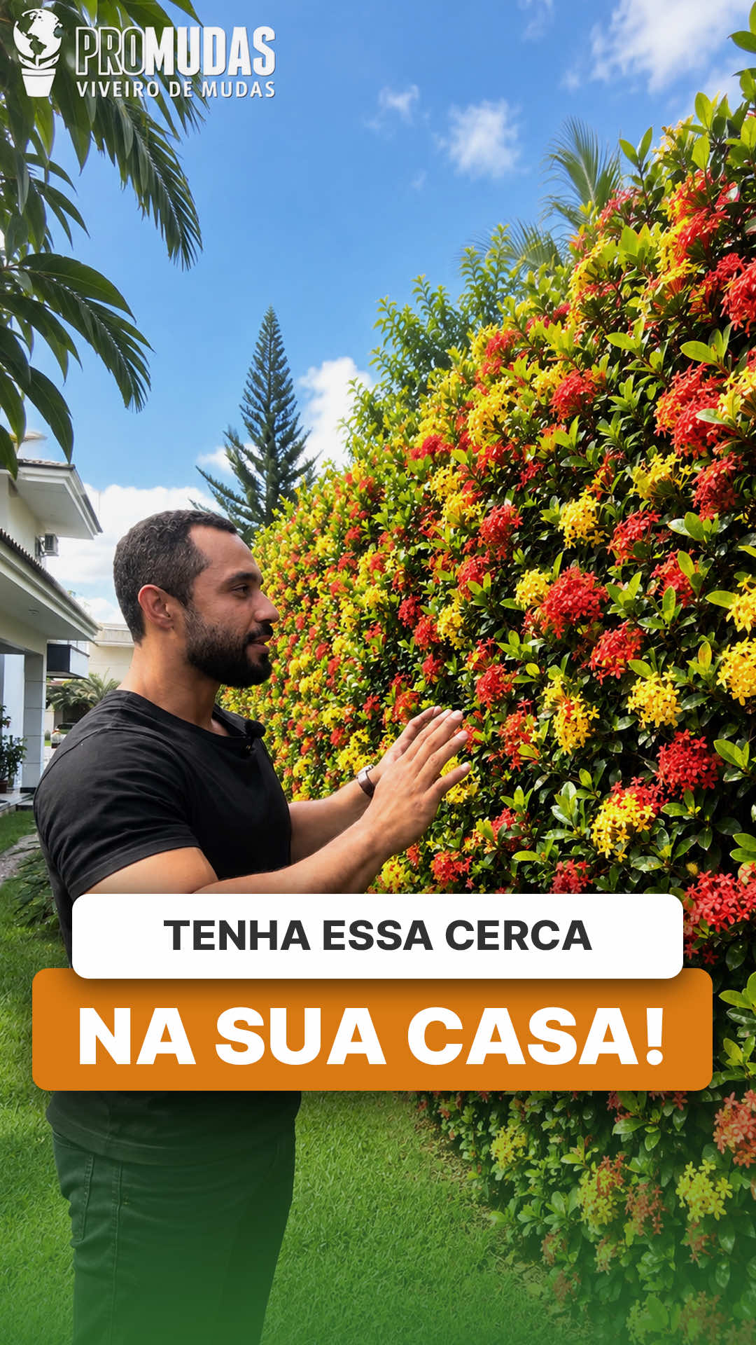 @ViveiroProMudas