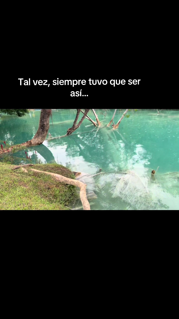 @Zulema AlMa
