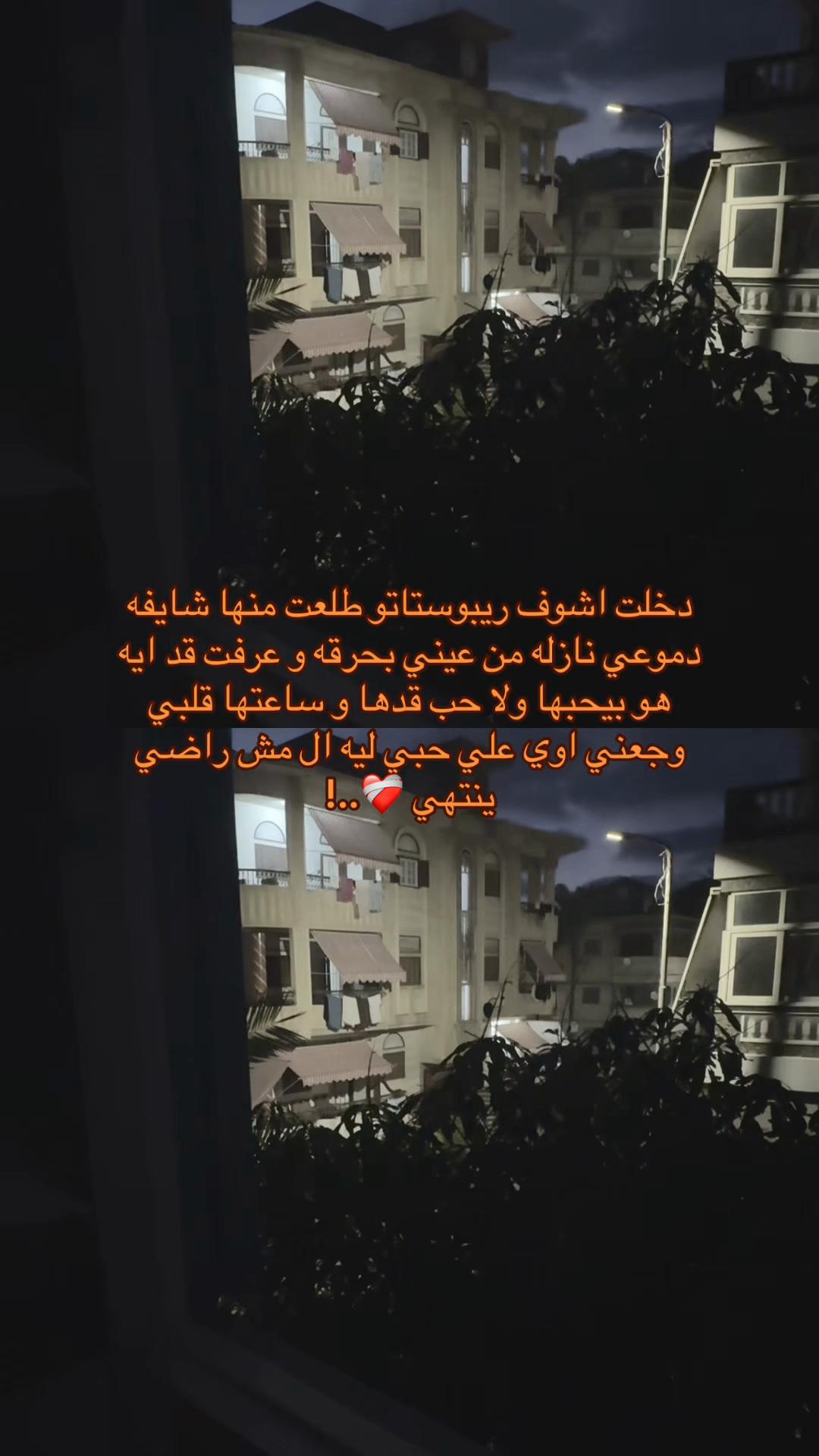 @رِيبُوسْت🔁