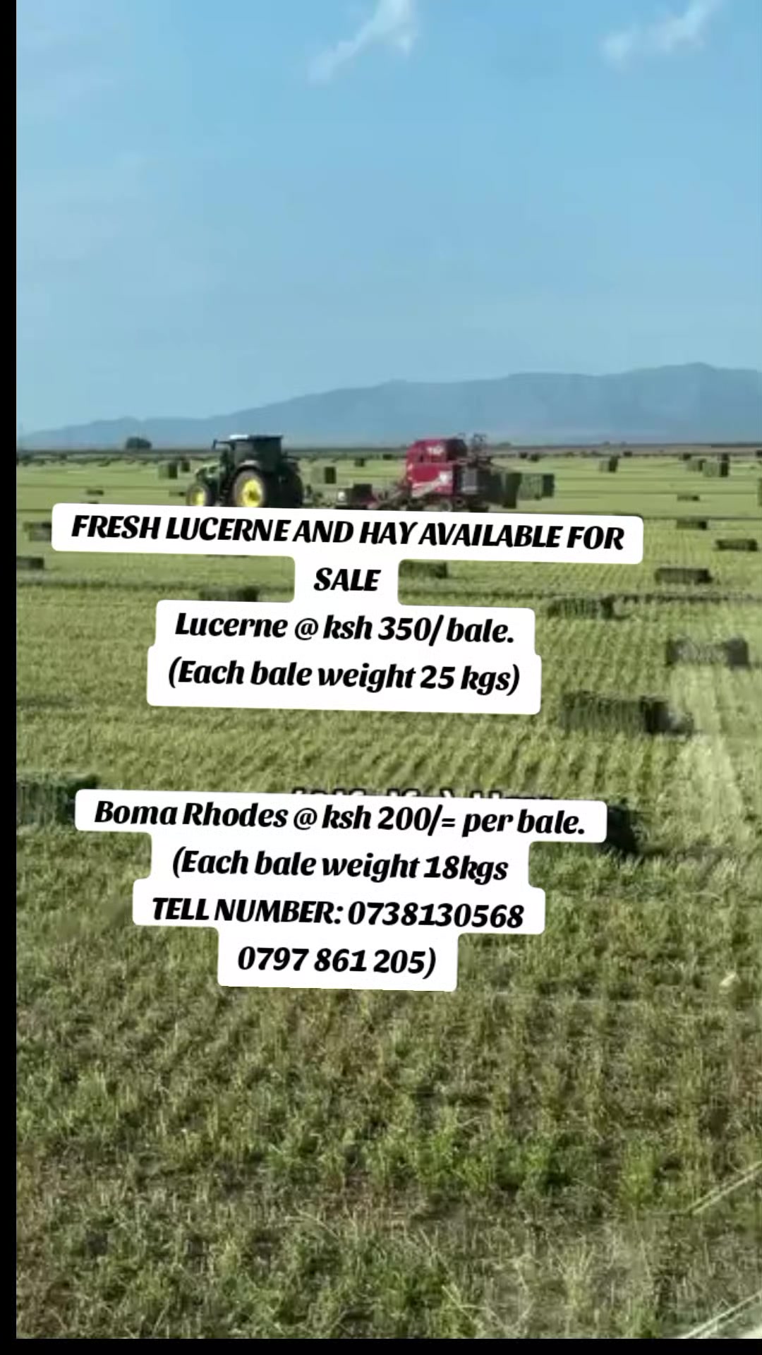 @OFFICIAL GICHEHA FARM RONGAI