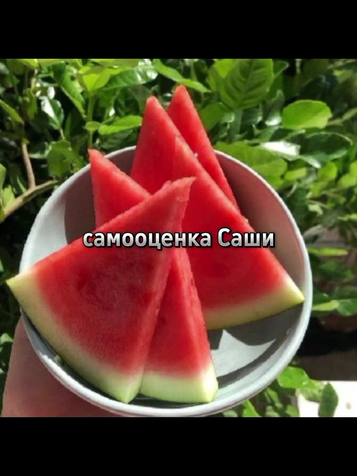 @жизнь в репостах