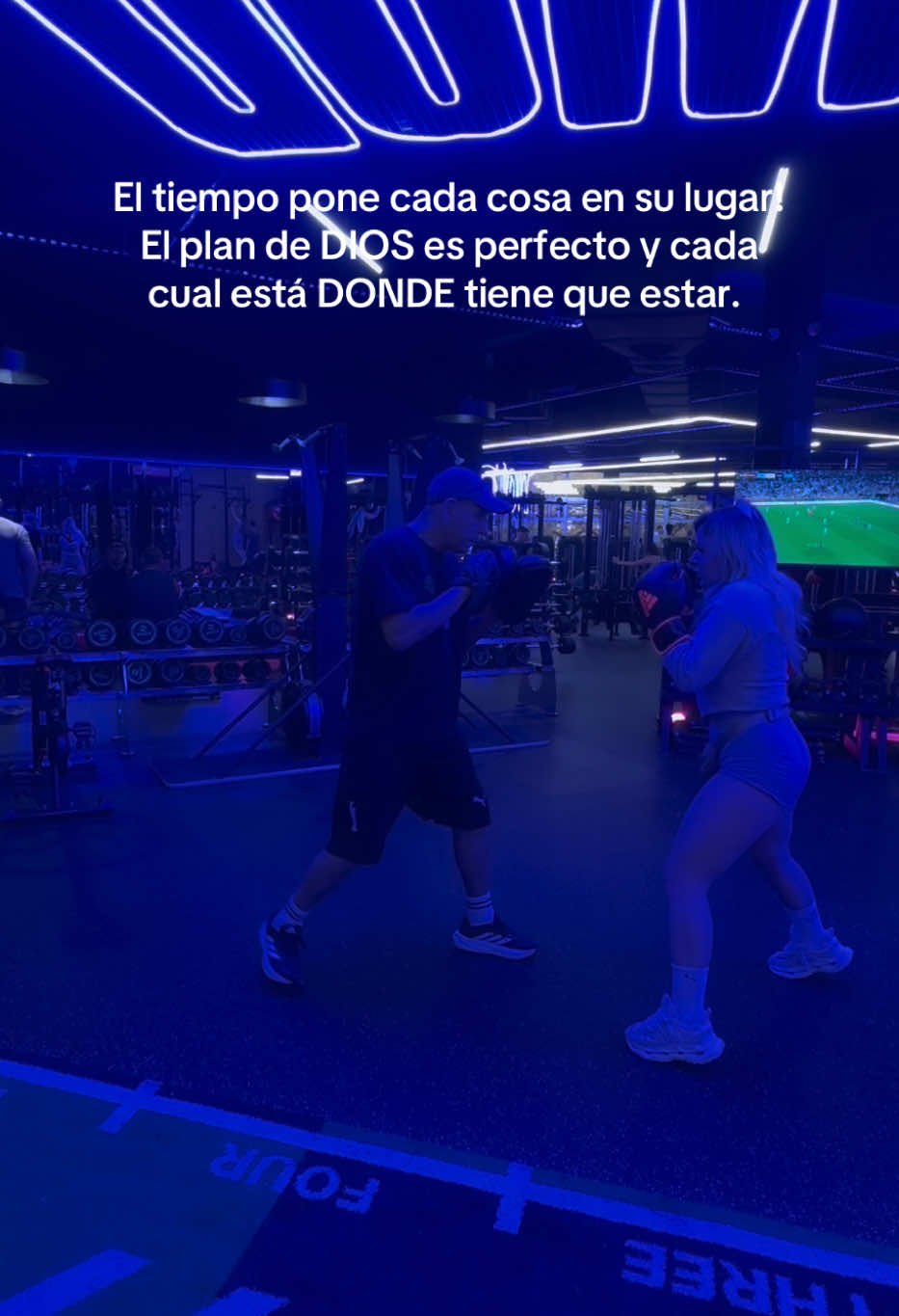 @luli.albanese22_