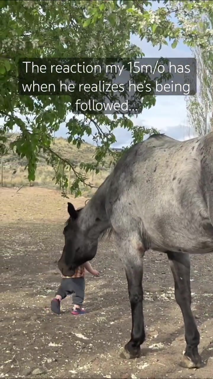@Rudnik the Roan