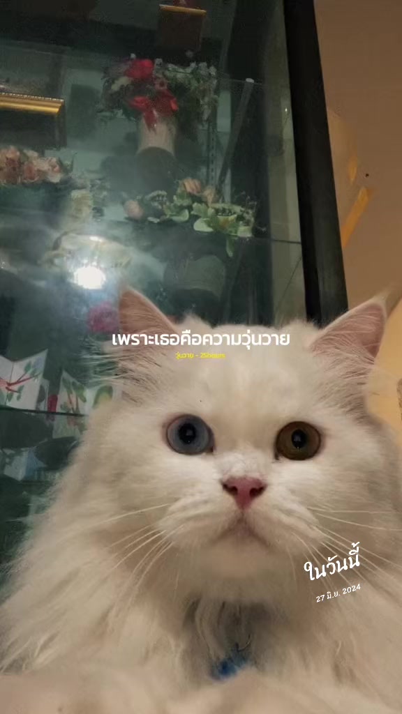 @𝐢𝐦𝐬𝐚𝐥𝐦𝐚🐰